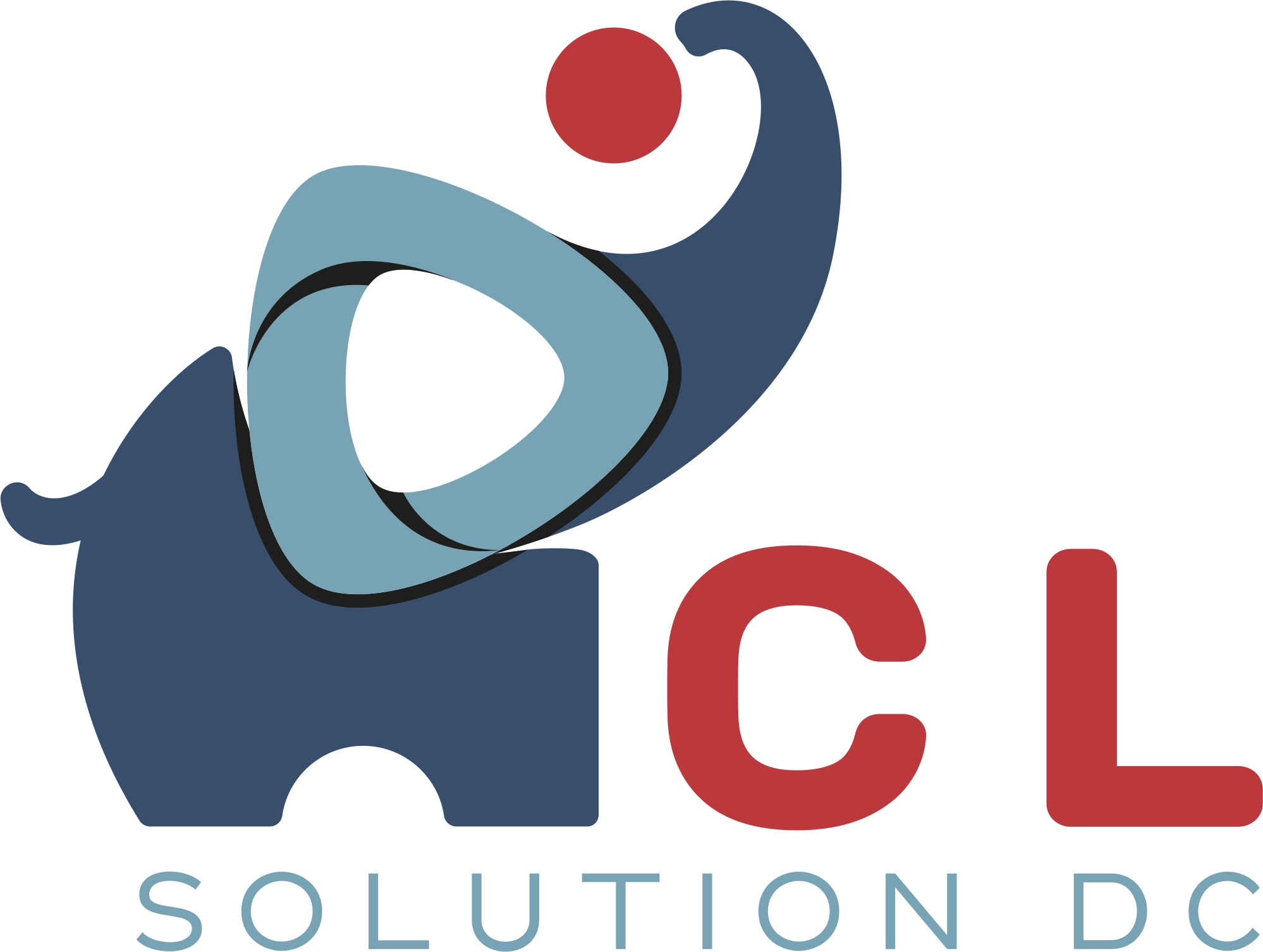 CL Data Solution